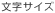 文字サイズ